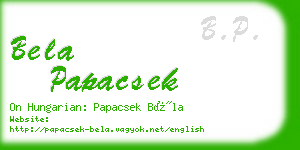 bela papacsek business card